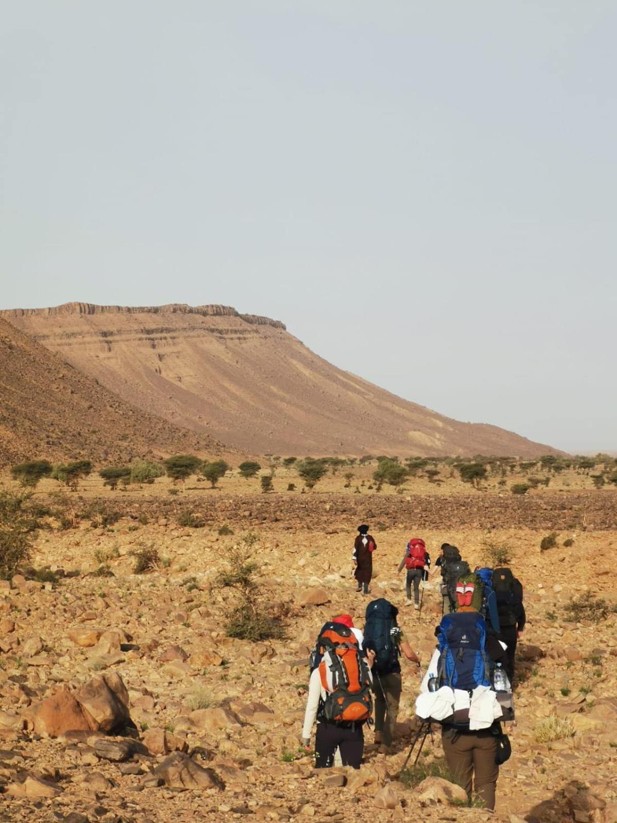 Hotel Bivouac Les Nomades & Foum Zguid To Chegaga Tours Esterno foto