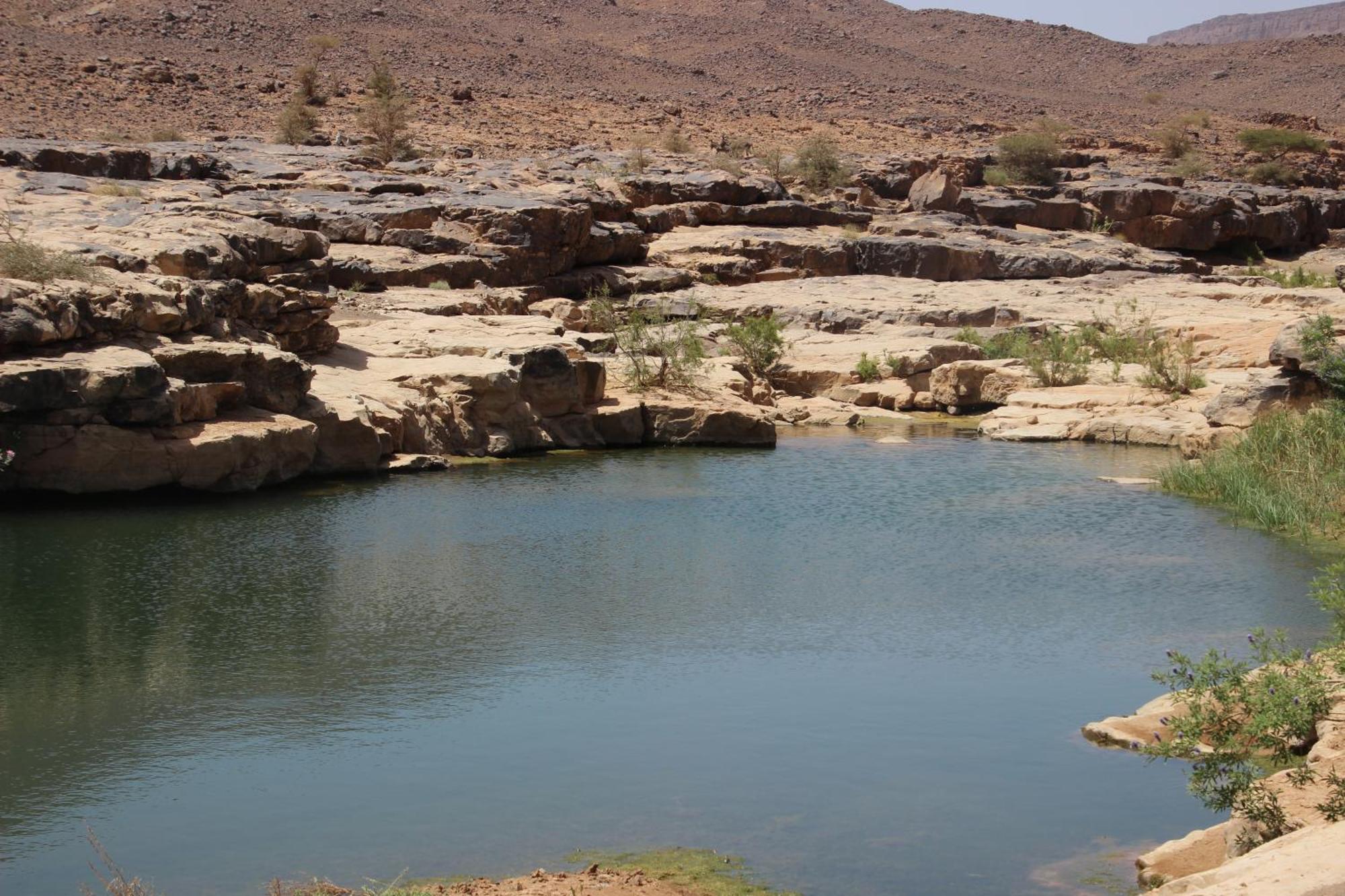 Hotel Bivouac Les Nomades & Foum Zguid To Chegaga Tours Esterno foto