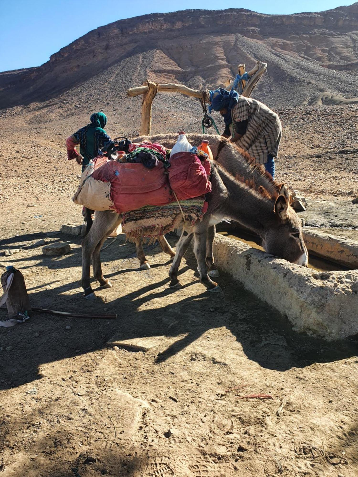 Hotel Bivouac Les Nomades & Foum Zguid To Chegaga Tours Esterno foto