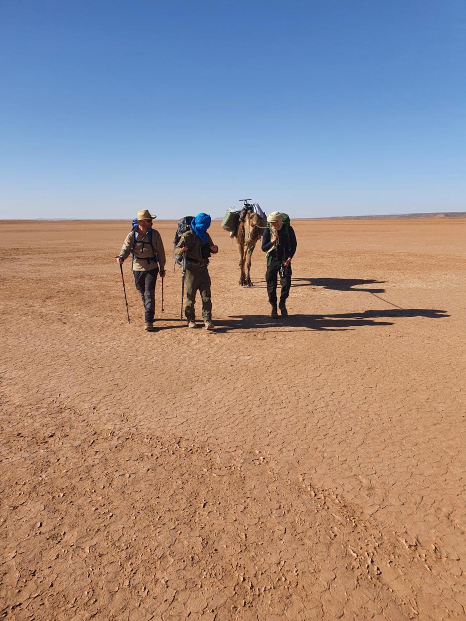 Hotel Bivouac Les Nomades & Foum Zguid To Chegaga Tours Esterno foto