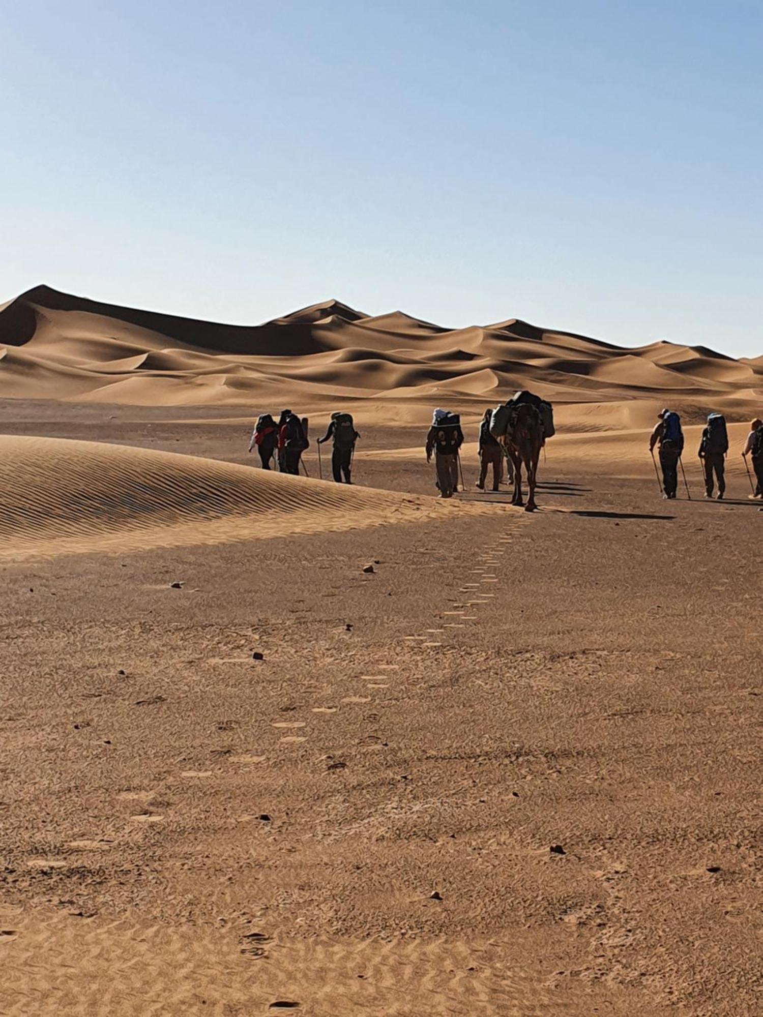 Hotel Bivouac Les Nomades & Foum Zguid To Chegaga Tours Esterno foto