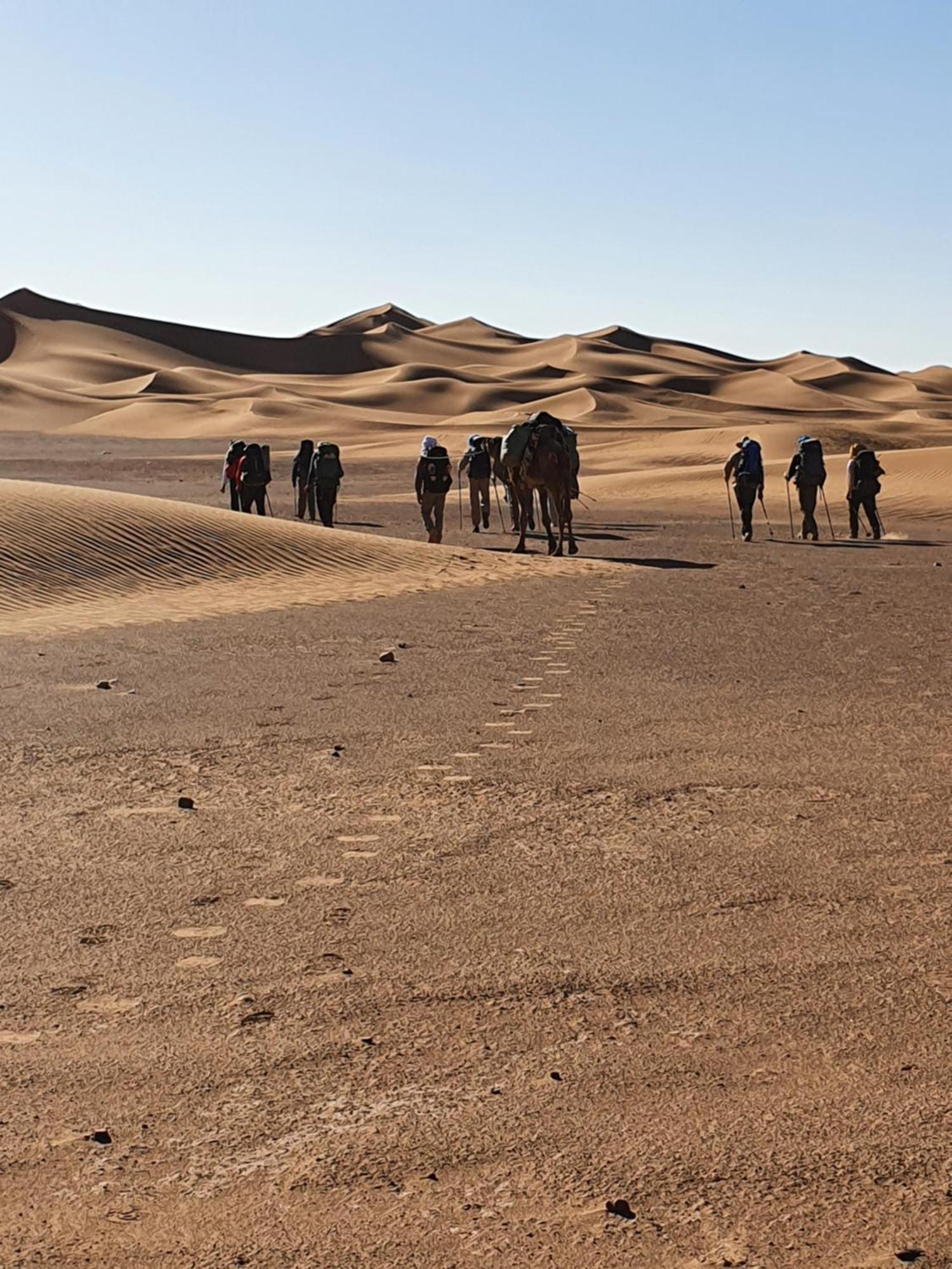 Hotel Bivouac Les Nomades & Foum Zguid To Chegaga Tours Esterno foto